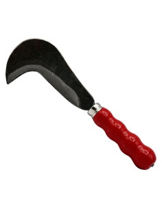 RONCOLETTA DA VIGNA - LIF