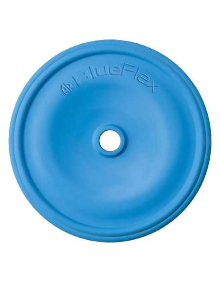 MEMBRANE PER MOTOPOMPA IRRORATRICE - ANNOVI REVERBERI | Utensili Store