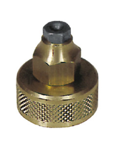 TESTINA COMPLETA - Senza Marca