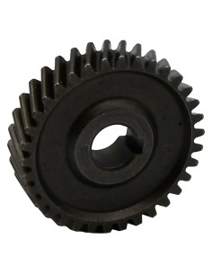 INGRANAGGIO INDOTTO - LIF