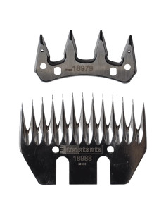 COPPIA PETTINI - ALBERT KERBL