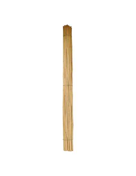 CANNA BAMBU' - Senza Marca | Utensili Store