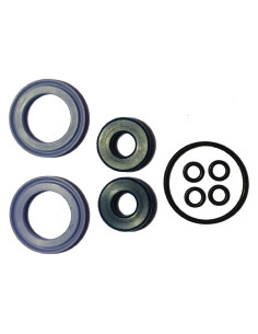 KIT GUARNIZIONI PER ABBACCHIATORE PNEUMATICO 'AIR - MINELLI