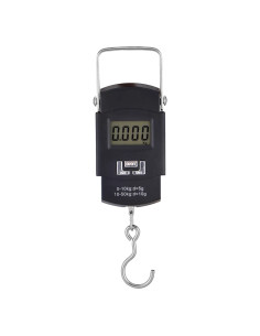 BILANCIA DIGITALE PORTATILE - KASART