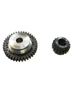 RUOTA DENTATA CON PULEGGIA per 'Fanny' - LIF