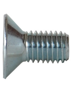 VITE TSP CON CAVA ESAGONALE - AMBROVIT