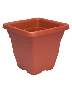 FIORIERA QUADRA 'LAURUS' - ICS