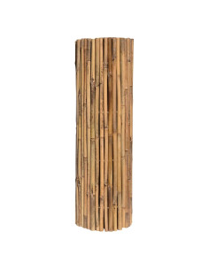 ARELLA CANNA PASSANTE 'MASTER' - LIF