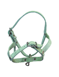 CAPEZZA PER PECORA - Senza Marca