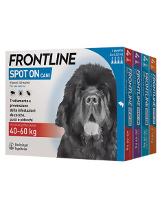 ANTIPARASSITARIO 'FRONTLINE SPOT-ON' gatti - FRONTLINE