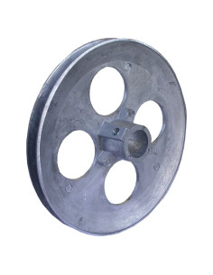 PULEGGIA GRANDE per spremipomodoro TS PAVI - PALUMBO