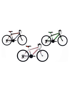 BICICLETTA UOMO 'MTB' - MASCIAGHI 2