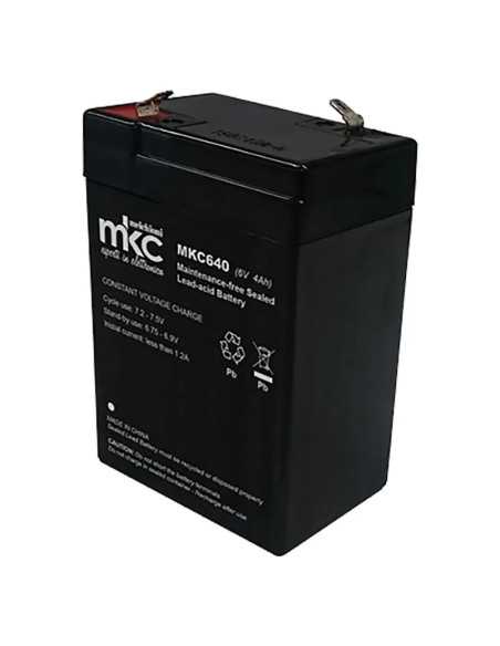 BATTERIA RICARICABILE small - VELAMP | Utensili Store