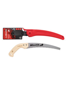 SEGACCIO DA POTA 'LION' - BELLOTA