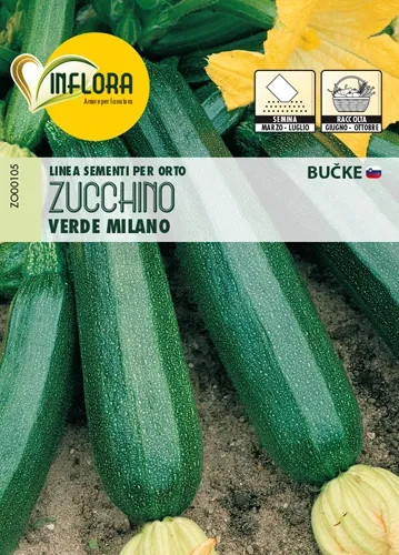 SEMI ORTO ZUCCHINO VERDE MILANO - Senza Marca