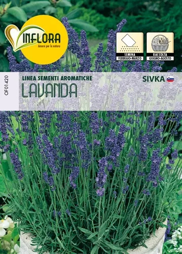 SEMI ERBA AROMATICA LAVANDA - Senza Marca