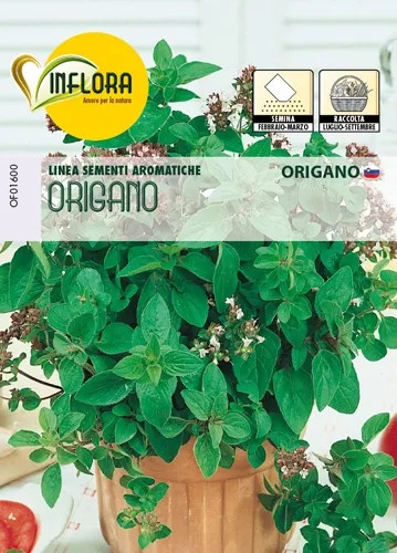 SEMI ERBA AROMATICA ORIGANO - Senza Marca